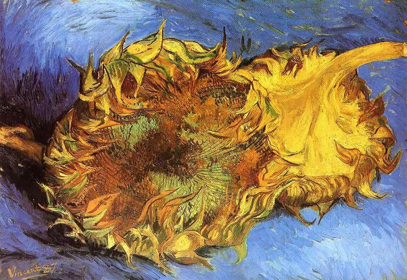 Vincent van Gogh Two Cut Sunflowers